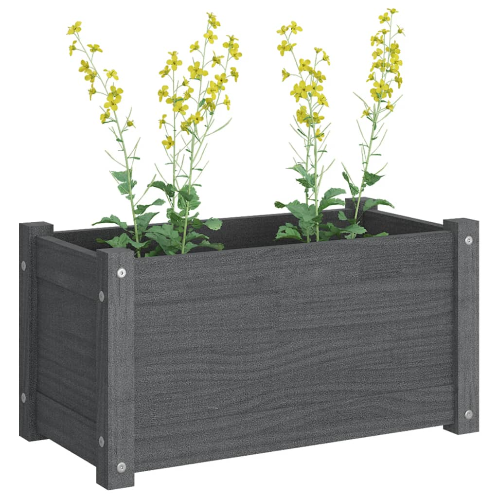 vidaXL Garden Planters 2 pcs Gray 23.6"x12.2"x12.2" Solid Wood Pine