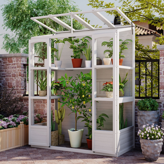 78-inch Wooden Greenhouse Cold Frame with 4 Independent Skylights and 2 Folding Middle Shelves, Walk-in Outdoor Greenhouse, White