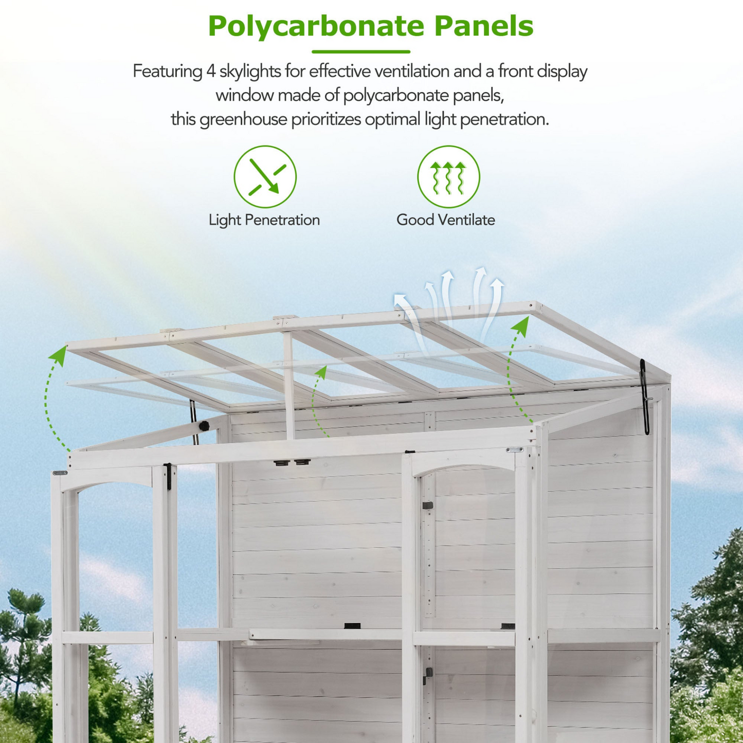 78-inch Wooden Greenhouse Cold Frame with 4 Independent Skylights and 2 Folding Middle Shelves, Walk-in Outdoor Greenhouse, White