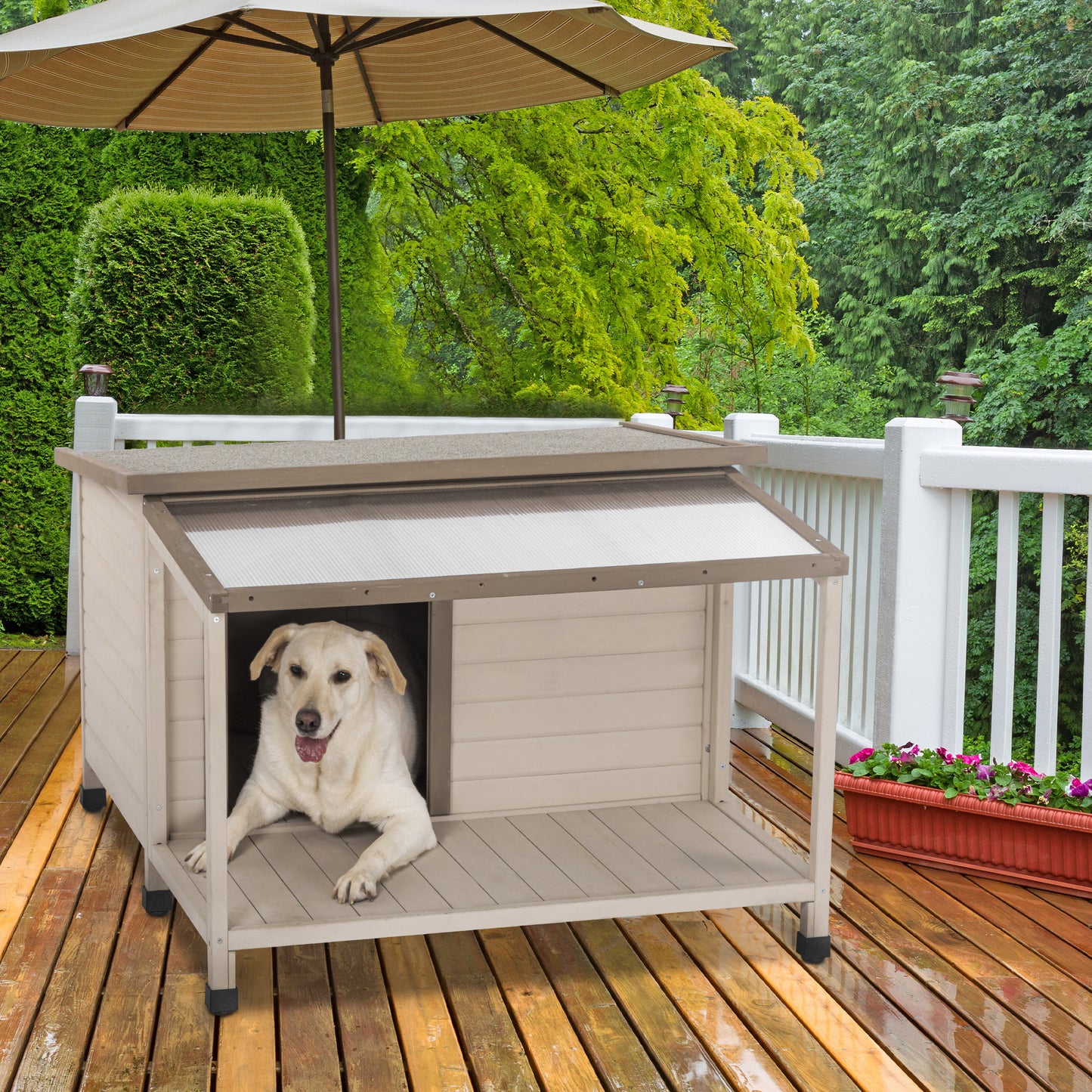 Outdoor fir wood dog house with an open roof ideal for medium to large  dogs. Dog house with large terrace with clear roof.Weatherproof asphalt roof and treated wood.