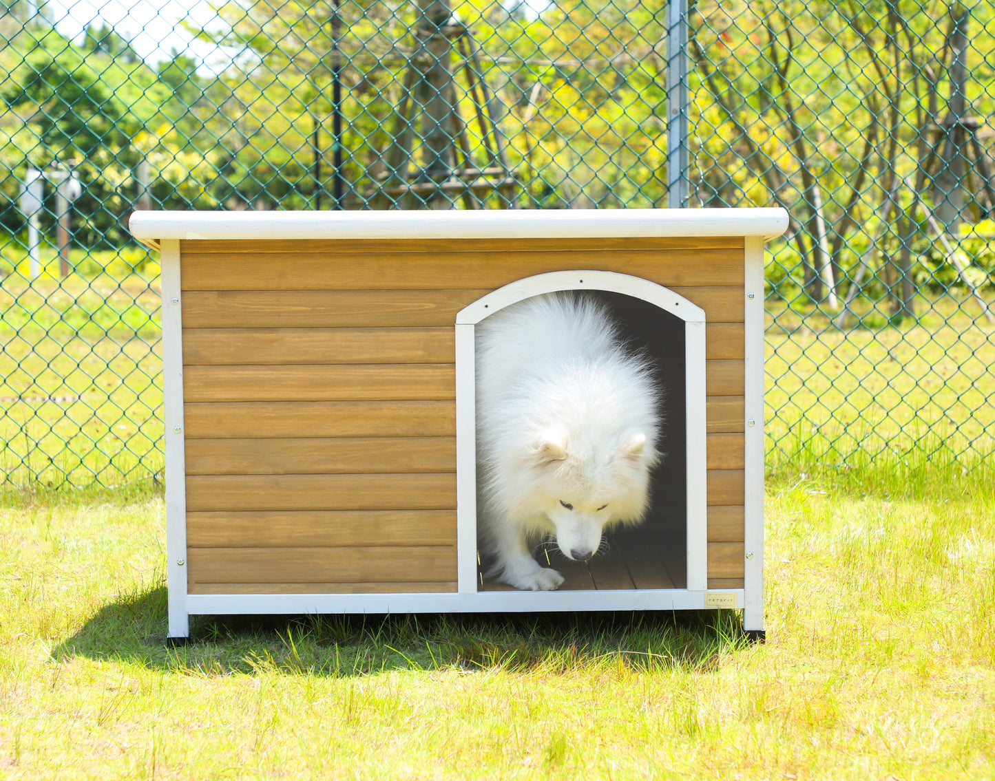 Large Wooden Outdoor Dog House, Waterproof Roof, Elevated Floor, Adjustable Plastic Feet, Yellow