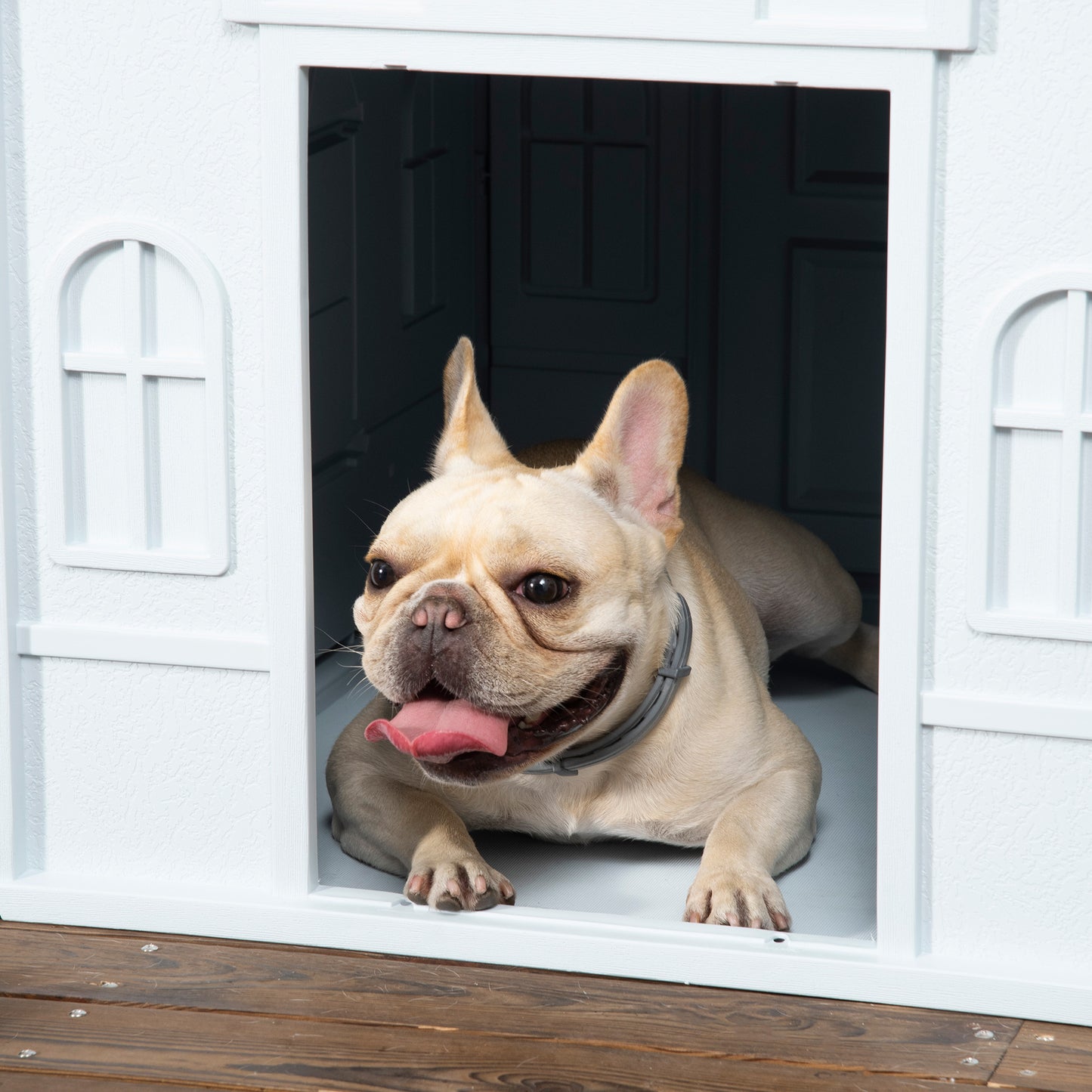 PawHut Plastic Dog House, Water Resistant Puppy Shelter Indoor Outdoor with Door, Easy to Assemble, for Medium and Small Dogs, Blue