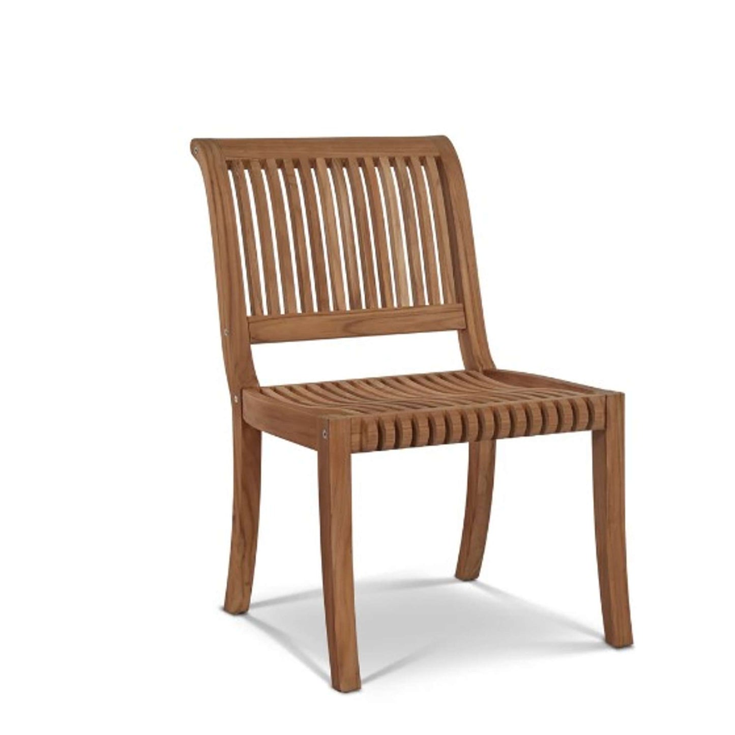 Palm Side Chair