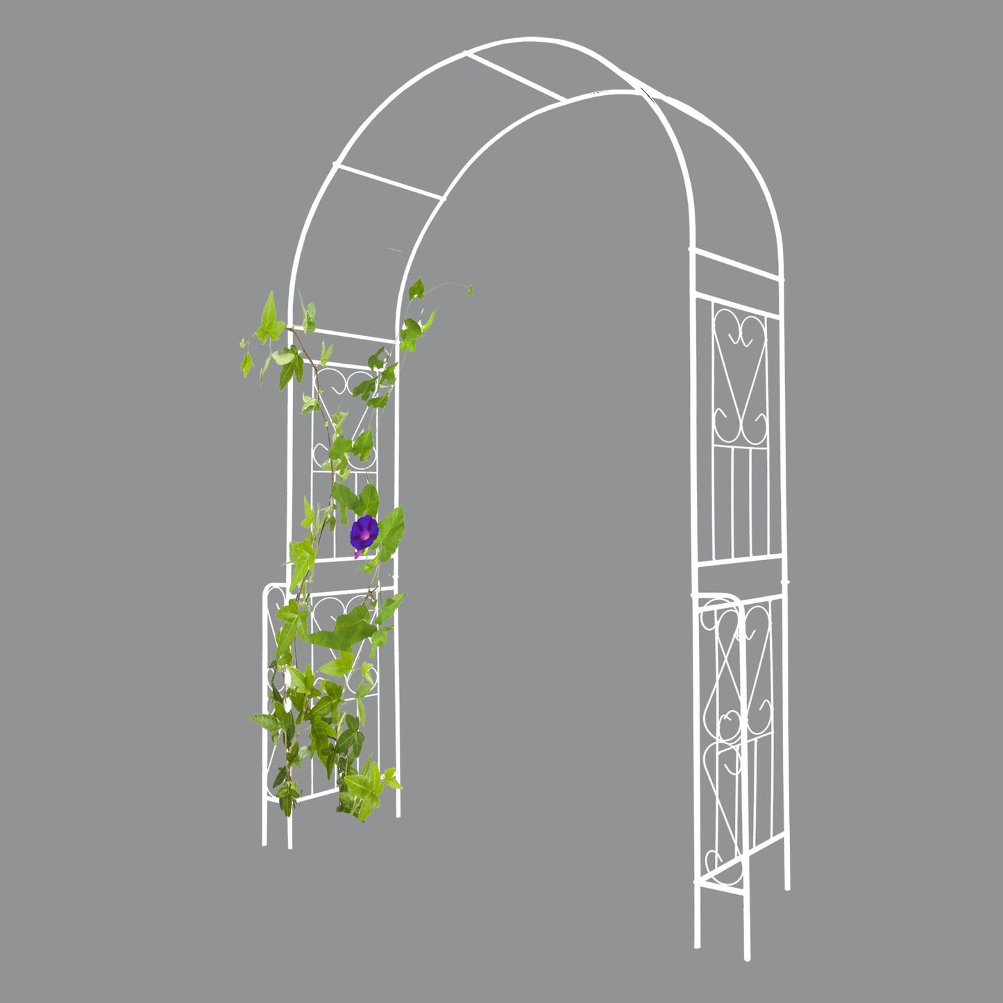 Metal Garden Arch W55'' x H94.5'' Garden Arbor Trellis Climbing Plants Support Rose Arch Outdoor Arch Cream White